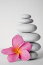 Stone Stack and Frangipani Flower