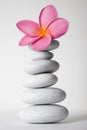 Stone Stack and Frangipani Flower