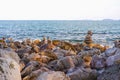 Stone stacked on rock beach at Laem Hua Mong - Kho Kwang Viewpoint in Chomphon province Thailand Royalty Free Stock Photo