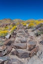 Stone Stair Case in Desert Bloom