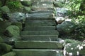 Stone stair case with green shrubs on either side.