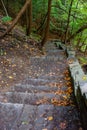 Stone stair in forest in Buttermilk Falls State Park Royalty Free Stock Photo