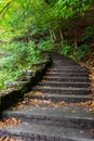 Stone stair in forest in Buttermilk Falls State Park Royalty Free Stock Photo