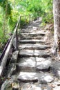 Stone stair at Pha Tam park, Thailand Royalty Free Stock Photo