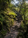 Stone Stairs Along Footpath in Himalayan Mountains of Nepal