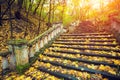 Stone staircase in the autumn park