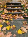 Stone staircase covered with autumn leaves. Colorful leaves on walkway stairs.