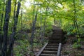 Stone staircase in dark forest with ligtht coming from the top. Concepts of a path, hope, pathway, journey