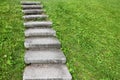 Stone staircase among green grass