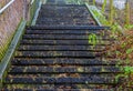 Stone staircase in the middle of nature, outdoor architecture, steps covered in leaves, slippery stairs Royalty Free Stock Photo