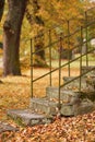 Stone staircase with old iron railings background autumn trees. Autumm, fall landscape bachground. Copy space. Royalty Free Stock Photo