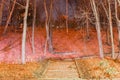 Stone staircase in the park against the backdrop of trees on the mountain Royalty Free Stock Photo