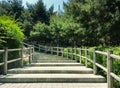 Stone staircase among pine trees. Changchungdan Park in downtown of Seoul during the spring season. Royalty Free Stock Photo