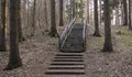 Stone staircase with railings in a forest park Royalty Free Stock Photo