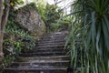 Stone staircase in the rainforest Royalty Free Stock Photo