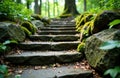 A stone staircase surrounded by moss-covered rocks in a lush green forest Royalty Free Stock Photo