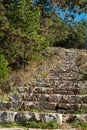 Stone staircase which rises towards the forest Royalty Free Stock Photo