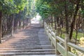 Stone staircases to the gateway of Mount Luojia, which lies in the Lotus Sea to the southeast of Putuo Mountain, Zhoushan,