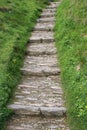 Stone stairs Royalty Free Stock Photo