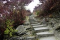 Stone stairs through the autumn park Royalty Free Stock Photo