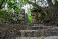 Stone stairs covered moss in Capuchin monastery in Portugal