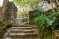 Stone stairs covered moss in Capuchin monastery in Portugal Royalty Free Stock Photo