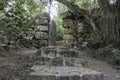 Stone stairs covered moss in Capuchin monastery in Portugal Royalty Free Stock Photo