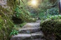 Stone stairs covered moss in Medieval cloister Royalty Free Stock Photo