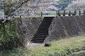 Cherry blossom petals on the stone steps Royalty Free Stock Photo