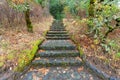 Stone Stairs at Eagle Creek Overlook Royalty Free Stock Photo