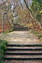 Stone stairs in the forest Royalty Free Stock Photo