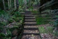 Stone Stairs In The Forest, Hiking Trail, Path In Tropical Rainforest