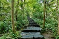 Stone Stairs. Forest. Hill. Trees. Royalty Free Stock Photo