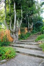Stone stairs in the garden Royalty Free Stock Photo