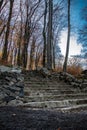 Stone stairs go to the forest in winter and cold Royalty Free Stock Photo