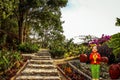 Stone stairs in the green park surrounded by Royalty Free Stock Photo