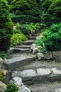 Stone stairs among greenery of the Botanical Garden of the Jagiellonian University