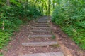 Stone stairs on a hill in the middle of the forest among trees and vegetation with green foliage