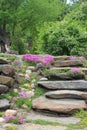 Stone stairs interspersed with pink phlox Royalty Free Stock Photo