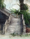 Stone stairs with ivy and plants