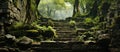 Stone stairs in a Japanese garden with green moss and ferns Royalty Free Stock Photo