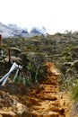 Stone stairs of kinabalu trekking trail Royalty Free Stock Photo