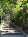 Stone stairs in Mediterranean garden Royalty Free Stock Photo