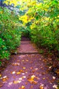 stone stairs in the middle of nature in a rainy autumn landscape. Autumn wet forest Royalty Free Stock Photo