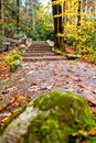 stone stairs in the middle of nature in a rainy autumn landscape. Autumn wet forest Royalty Free Stock Photo