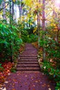 stone stairs in the middle of nature in a rainy autumn landscape. Autumn wet forest Royalty Free Stock Photo