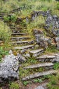Stone stairs overgrown with wild herbs and grass Royalty Free Stock Photo