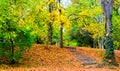 Stone Stairs in Park Royalty Free Stock Photo