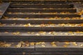 Stone stairs in the park, strewn with fallen autumn maple leaves