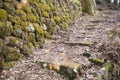 Stone stairs pathway in garden Royalty Free Stock Photo